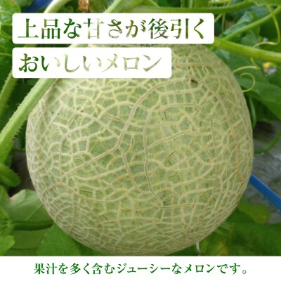 クインシーメロン 2玉 約3kg_271-6795-A