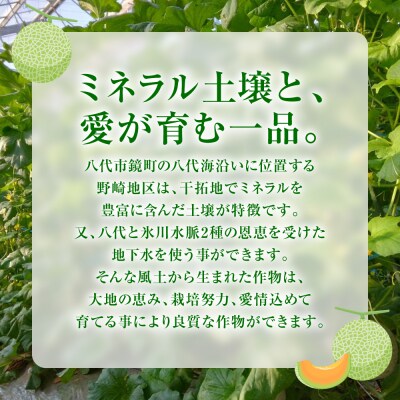 クインシーメロン 2玉 約3kg_271-6795-A