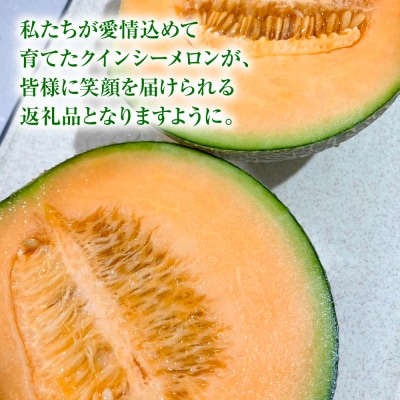 【先行予約】クインシーメロン 2玉 約3kg【2026年5月下旬より順次発送】_271-6795-A
