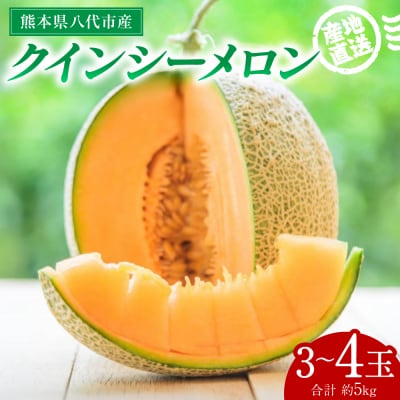 クインシーメロン 3～4玉 約5kg_271-6796