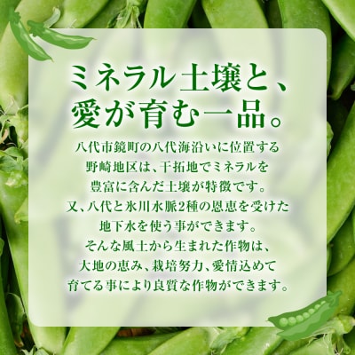 産地直送 スナップエンドウ 700g えんどう 豆_271-6791