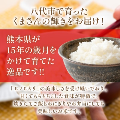 《令和7年産》くまさんの輝き 5kg×2袋 合計10kg  熊本県_274-6648
