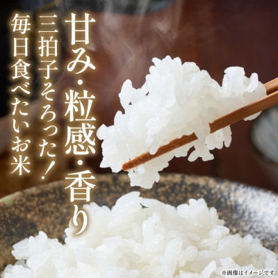 《令和7年産》くまさんの輝き 5kg×2袋 合計10kg  熊本県_274-6648