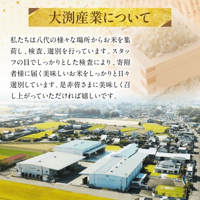 《令和7年産》くまさんの輝き 5kg×2袋 合計10kg  熊本県_274-6648