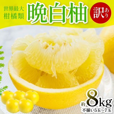 【先行予約】 【訳あり】 晩白柚 5～7玉【2027年1月上旬より順次発送】_280-6676-A