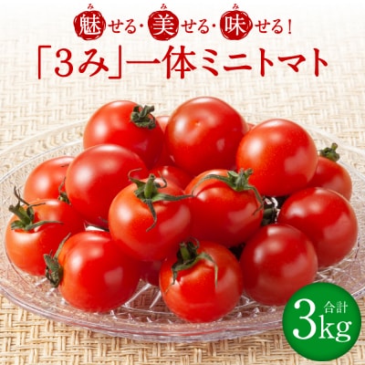 魅せる・美せる・味せる!「3み」一体ミニトマト! 八代市産 トマト_276-6638