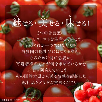 魅せる・美せる・味せる!「3み」一体ミニトマト! 八代市産 トマト_276-6638