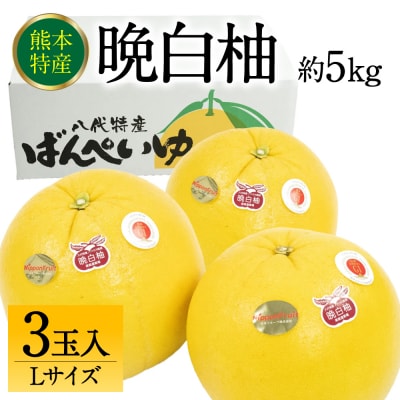 【先行予約】八代市産 晩白柚 Lサイズ 3玉【2026年12月上旬より順次発送】232-6019-B