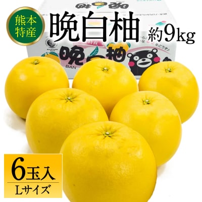 【先行予約】八代市産 晩白柚 Lサイズ 6玉【2026年12月上旬より順次発送】232-6020-B