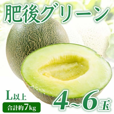 【先行予約】肥後グリーンL以上 4～6玉【2026年5月上旬より順次発送】_232-6480-A