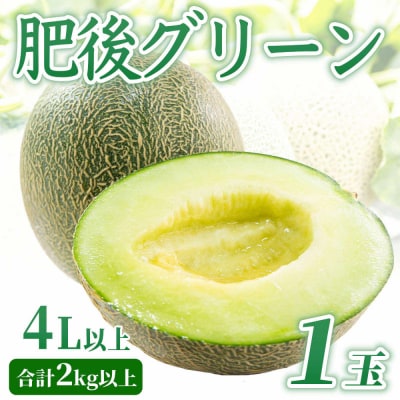 【先行予約】肥後グリーンメロン 4L以上1玉【2026年5月上旬より順次発送】_232-6478-A