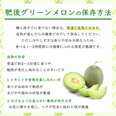 肥後グリーンメロン 4L以上1玉_232-6478-A