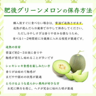 肥後グリーンメロン 4L以上2玉_232-6479-A