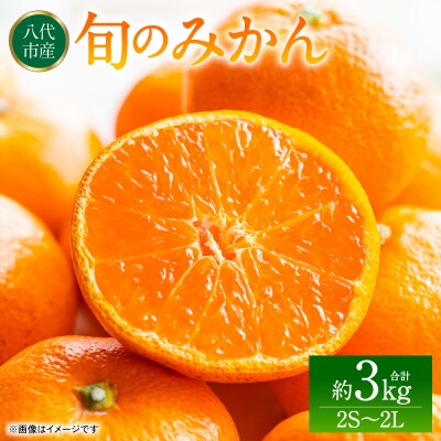 旬のみかん 2S～2Lサイズ 約3kg ミカン 柑橘 果物 フルーツ 旬 デザート_232-6696