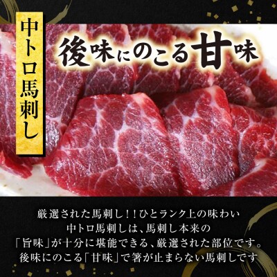中トロ馬刺し300g 馬さし お肉 馬肉 刺身 刺し身 馬刺し 馬刺しブロック_289-6721