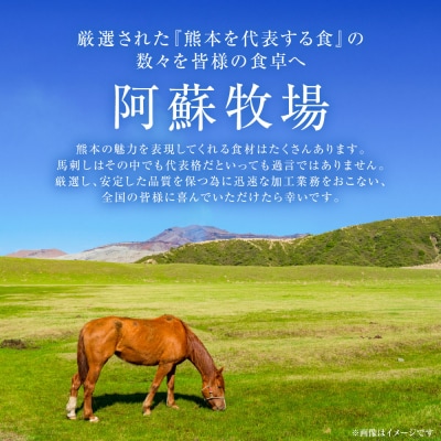 中トロ馬刺し300g 馬さし お肉 馬肉 刺身 刺し身 馬刺し 馬刺しブロック_289-6721