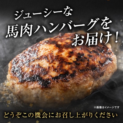 馬肉ハンバーグ 150g×10個 【熊本県産 ジャージー牛乳使用】_289-6740