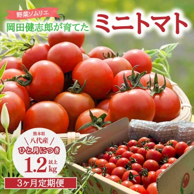 【先行予約】定期便3回 野菜ソムリエ岡田健志郎が育てた ミニトマト 1.2kg_075-6230-B