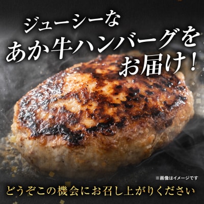 【定期便6回】肥後のあか牛 ハンバーグ 150g×10個 おかず 惣菜 洋食 お肉_289-6737