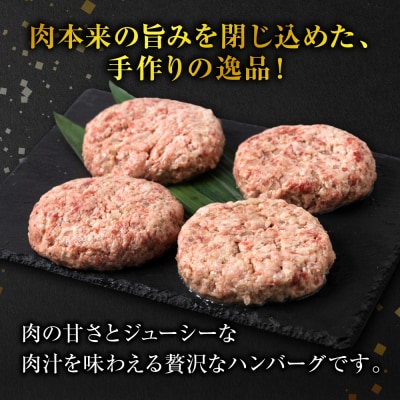【定期便3回】肥後のあか牛 ハンバーグ 150g×10個 おかず 惣菜 洋食 お肉_289-6738