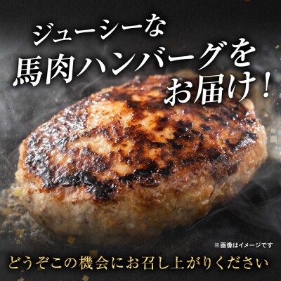 【定期便6回】馬肉ハンバーグ 150g×10個 【熊本県産 ジャージー牛乳使用】_289-6742
