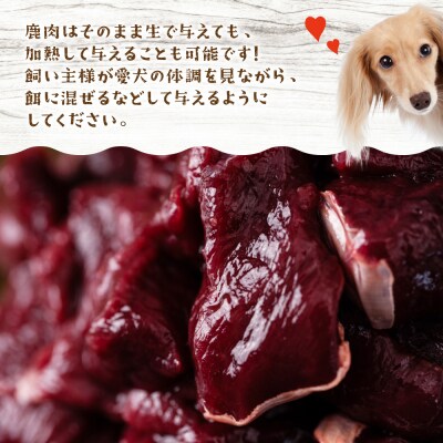 わんちゃん用 鹿生サイコロステーキ ジビエ 300g×3 計900g_067-4860-B