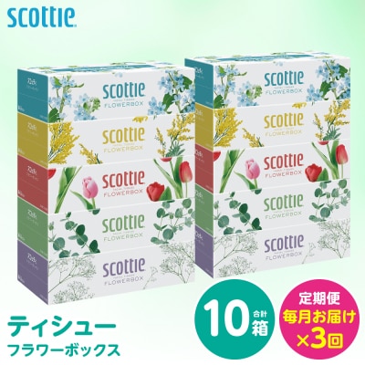 【毎月定期便】 ティッシュ 250組 10箱 日用品 スコッティ 全3回_186-6436
