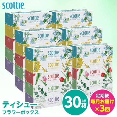 【毎月定期便】 ティッシュ 250組 30箱 日用品 スコッティ 全3回_186-6438-A