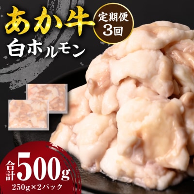 【定期便3回】 あか牛 白ホルモン 500g 250g×2パック_212-5154
