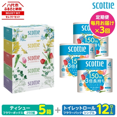 【毎月定期便】ティッシュ5箱+トイレットペーパーシングル12ロールスコッティ全3回_186-6570
