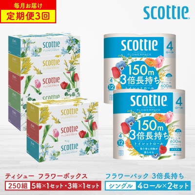 【毎月定期便】ティシュー8箱+トイレットペーパー8ロールシングル スコッティ全3回_186-6571