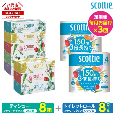 【毎月定期便】ティッシュ8箱+トイレットペーパー シングル8ロールスコッティ全3回_186-6571