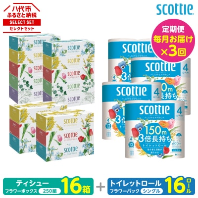 【毎月定期便】ティッシュ16箱トイレットペーパーシングル16ロールスコッティ全3回_186-6573