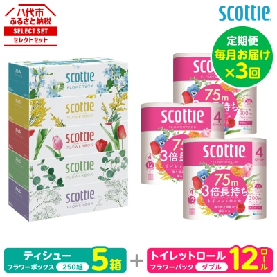 【毎月定期便】ティッシュ 5箱+トイレットペーパーダブル12ロールスコッティ全3回_186-6574