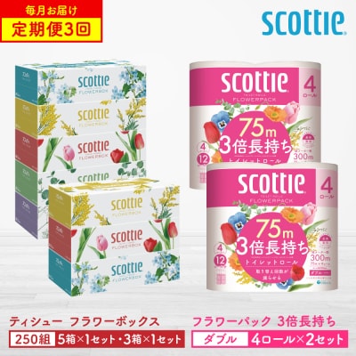 【毎月定期便】ティッシュ8箱 +トイレットペーパーダブル8ロール スコッティ全3回_186-6575