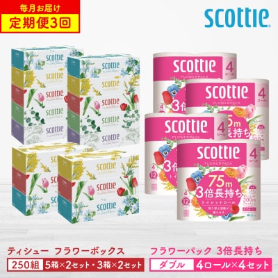 【毎月定期便】ティシュー16箱+トイレットペーパー16ロールダブルスコッティ全3回_186-6577