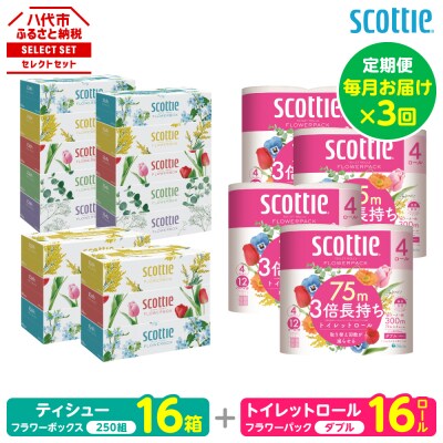 【毎月定期便】ティシュー16箱+トイレットペーパー16ロールダブルスコッティ全3回_186-6577