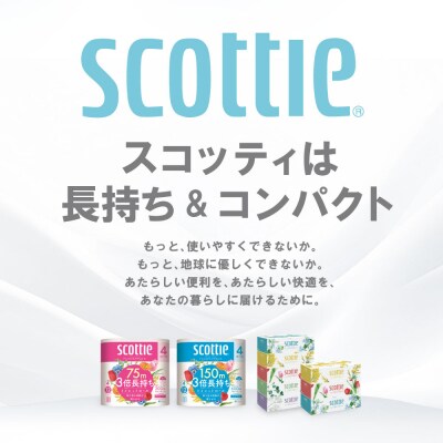 【毎月定期便】ティッシュ16箱+トイレットペーパーダブル16ロールスコッティ全3回_186-6577