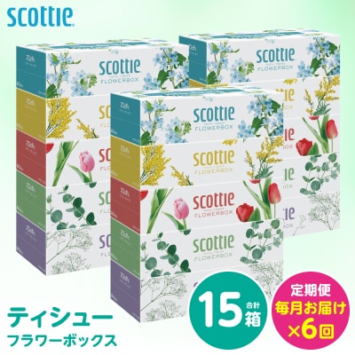 定期便6回・毎月お届け スコッティ ティシュー 250組 15箱 計90箱_186-6654