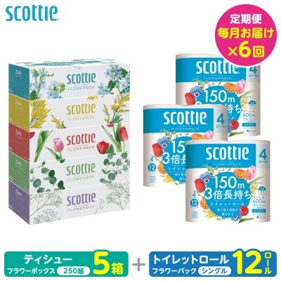 【毎月定期便】ティッシュ5箱+トイレットペーパーシングル12ロールスコッティ全6回_186-6665