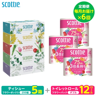 【毎月定期便】ティッシュ 5箱+トイレットペーパーダブル12ロールスコッティ全6回_186-6667