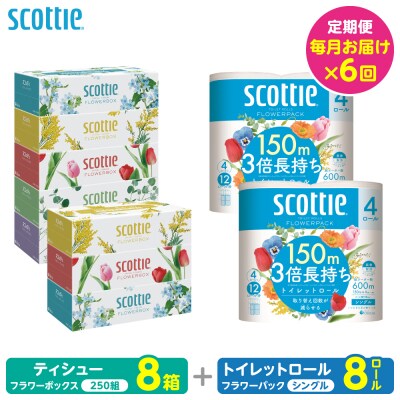 【毎月定期便】ティッシュ8箱+トイレットペーパー シングル8ロールスコッティ全6回_186-6669