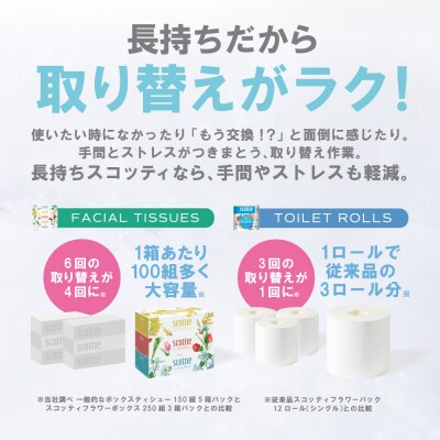 【毎月定期便】ティッシュ8箱+トイレットペーパー シングル8ロールスコッティ全6回_186-6669