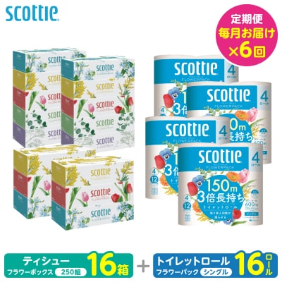 【毎月定期便】ティッシュ16箱トイレットペーパーシングル16ロールスコッティ全6回_186-6670