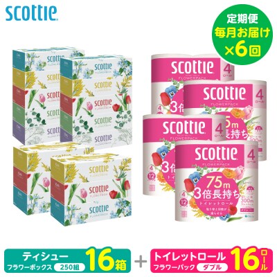 【毎月定期便】ティッシュ16箱+トイレットペーパーダブル16ロールスコッティ全6回_186-6672