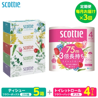 定期便3回・毎月お届けスコッティ ティシュー5箱トイレットロールダブル4ロール_186-6709