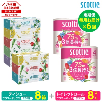 【毎月定期便】ティッシュ8箱 +トイレットペーパーダブル8ロール スコッティ全6回_186-6671