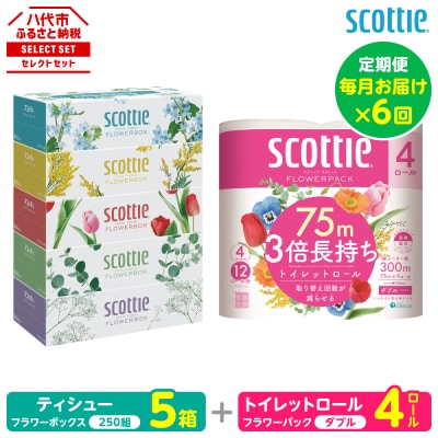 【毎月定期便】ティッシュ 5箱+ トイレットペーパーダブル4ロールスコッティ全6回_186-6710