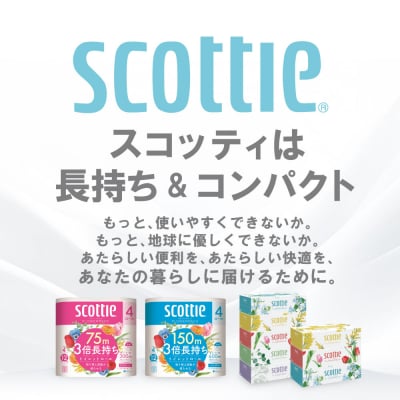 【毎月定期便】ティッシュ 5箱+ トイレットペーパーダブル4ロールスコッティ全6回_186-6710