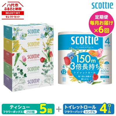 【毎月定期便】ティッシュ5箱+トイレットペーパーシングル4ロール スコッティ全6回_186-6707